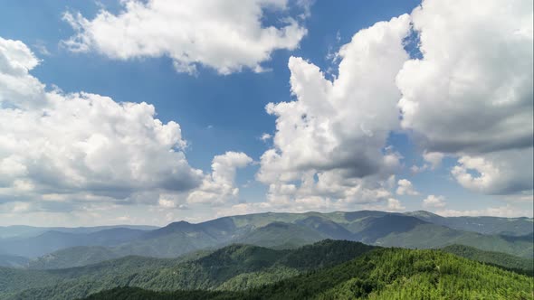 Clouds over Green Forest