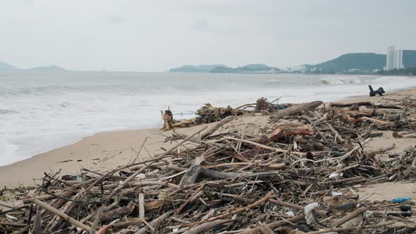 Beach After Tropical Depression