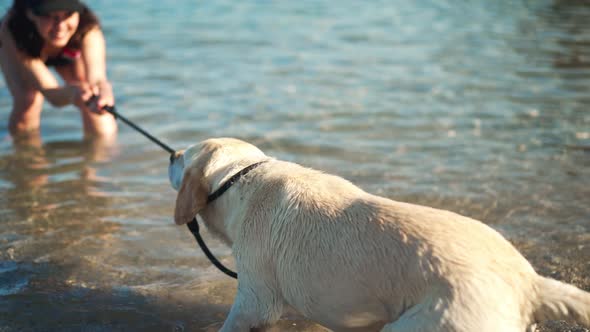 Back View Dog Pulling Collar with Blurred Young Woman Smiling at Background Standing in Sea Waters