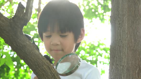 Cute Asian Child Looking Through A Magnifying Glass At A Rhinoceros Beetle In The Forest 