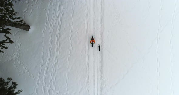 Man with dog cycling on snowy area 4k