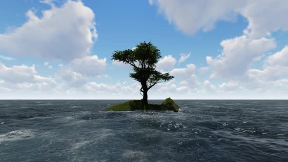 Trees grow in the middle of the sea in the morning