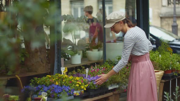 Attractive girl choosing a flower