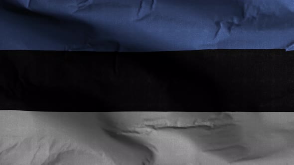 Estonia Flag Textured Waving Background 4K