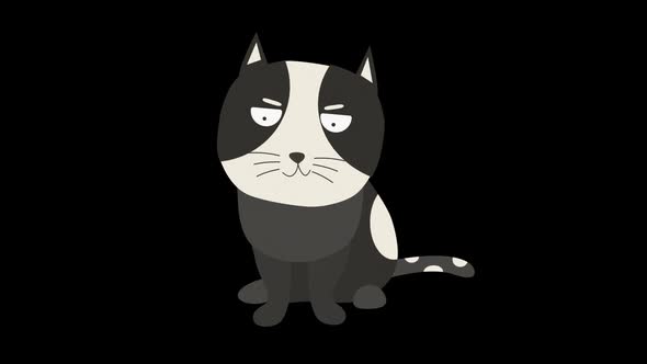 Angry Cartoon Cat