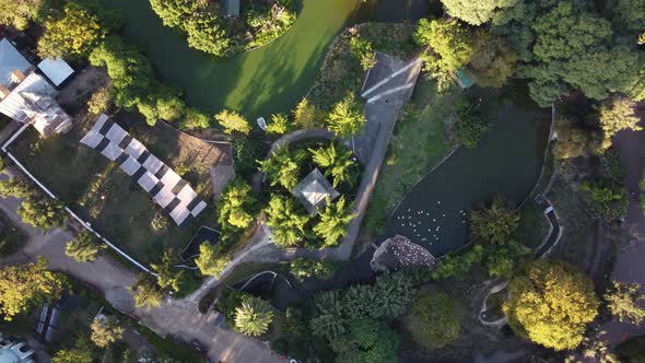 Rotating top down aerial view of ecological park, Buenos Aires