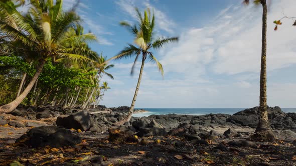 Shoreline of Hawaii Time Lapse