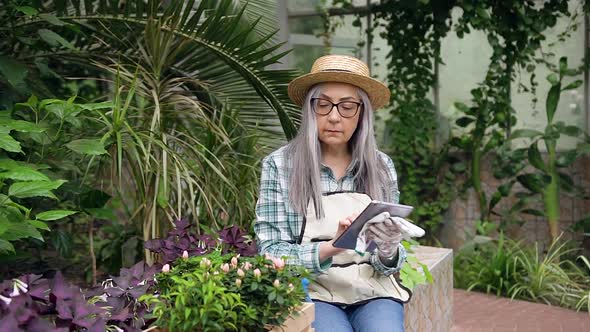 Senior Woman in Hat Sitting in Greenhouse and Doing Inventory of Green Plantings