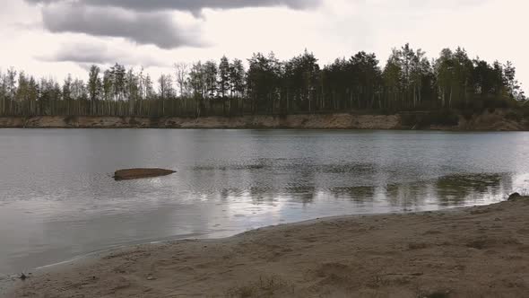 Lake With Forest and Rocks on the Beach