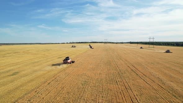 Combines In Operation.