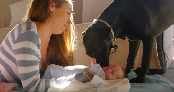 Mother with her baby boy and pet dog 4k