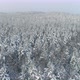 Winter Forest Aerial View Flying Over Snow Covered Spruce Trees Drone Shot - VideoHive Item for Sale