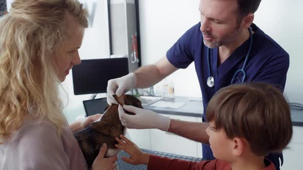 Caucasian woman with son has a visit in doctor's office with her dog. Shot with RED helium camera in