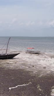 Vertical Video of Low Tide in the Ocean Near the Coast of Zanzibar Tanzania