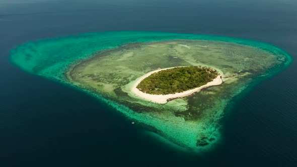 Tropical Island with Sandy Beach