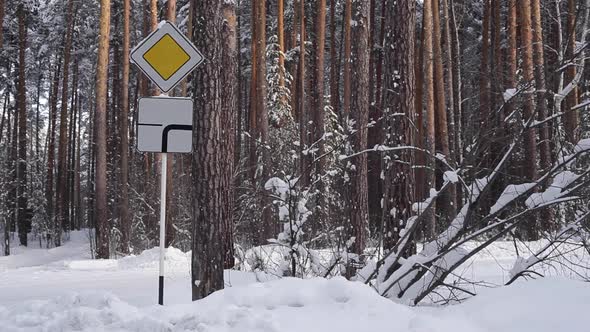 Road Sign a Priority Road in Snowy Forest