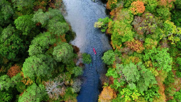 Top view of Kayaking on river by autumn forest