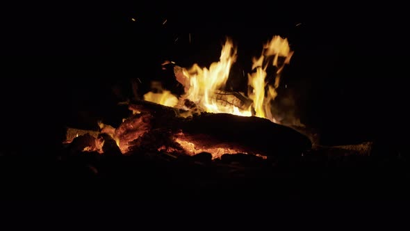 Bonfire Burning Trees at Night. Bonfire Burning Brightly, Heat, Light, Camping, Big Bonfire, Close