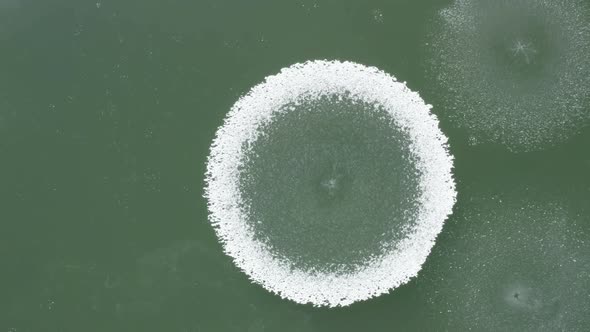 Circle Shape Frost On Green Lake Winter Background Natural Geometry
