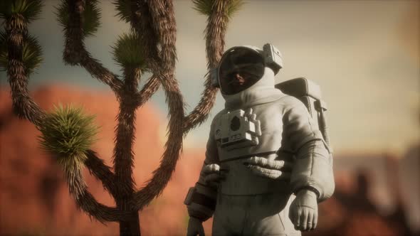 Astronaut in the High Desert of Nevada alt