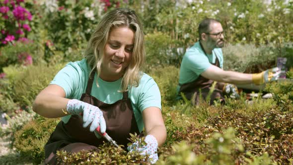Florist Shop Employee Cutting Houseplants with Pruner