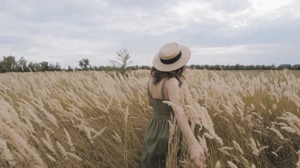 Young Woman, a Girl Walks on a Golden Field with a Feather Grass. Summer Vacation. Back View.