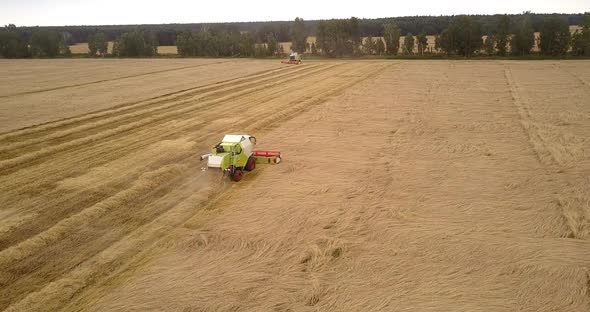 Aerial View Two Combines Move Harvesting Wheat Along Field