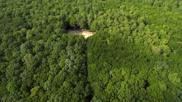 Aerial view of the sports ground in a green forest.