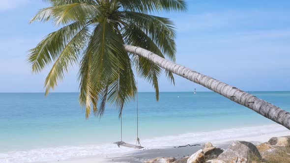 Tropical Sea, Beach and Swing on Palm