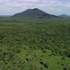 Cinematic 4K Aerial View beauty of a green tropical forest - VideoHive Item for Sale