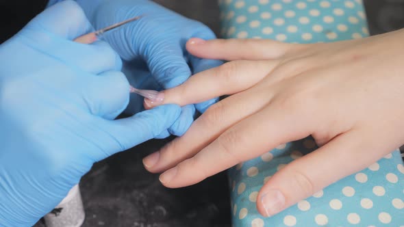 Female Hands Manicure Close Up View