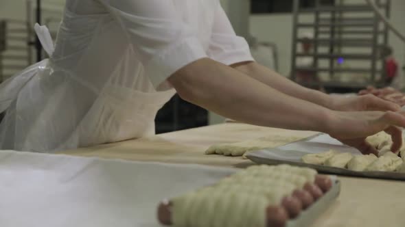 Raw Hot Dogs Rolled In Dough By Woman Baker Hands