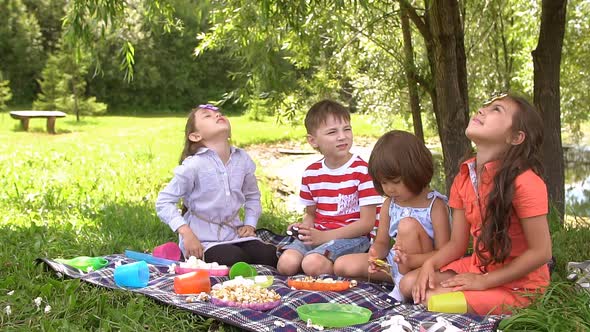 Picnic Outdoors on a Summer Day. Slow Motion