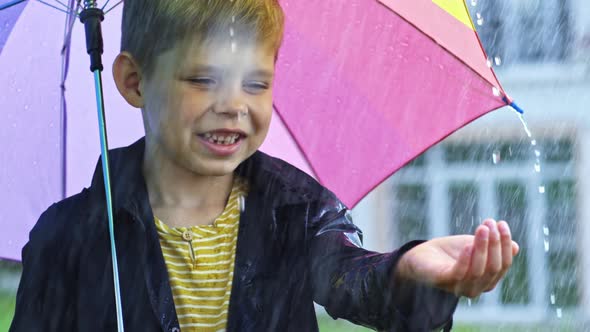 Preschool Boy Catching Raindrops alt
