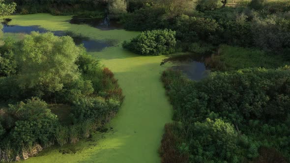 Flight Over A Beautiful Lake Dotted With Green Vegetation 15