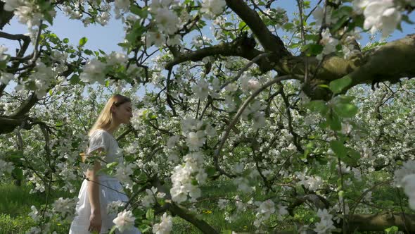 Girl behind blooming trees