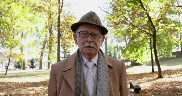 Elegant Senior Man Walks and Says Seriously at Camera in an Autumn Park