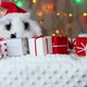 A small black and white rabbit in a New Year's cap is moving a gift. New Year's decorations. - VideoHive Item for Sale