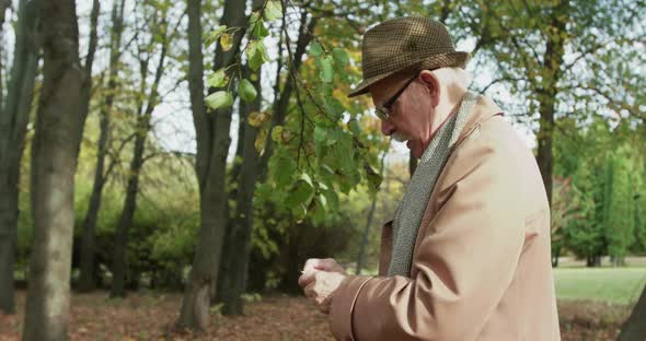 Elegant Old Man Cleans Birch Twig in Sunny Green Park