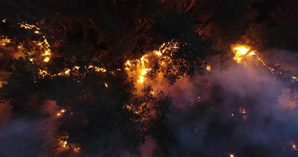 Aerial Panoramic View of a Forest Fire at Night Heavy Smoke Causes Air Pollution and Fire in Full