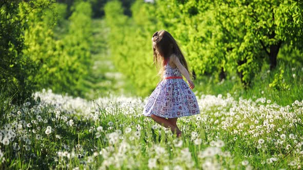 A little girl is spinning in the garden with dandelions, on a sunny day. Slow motion alt