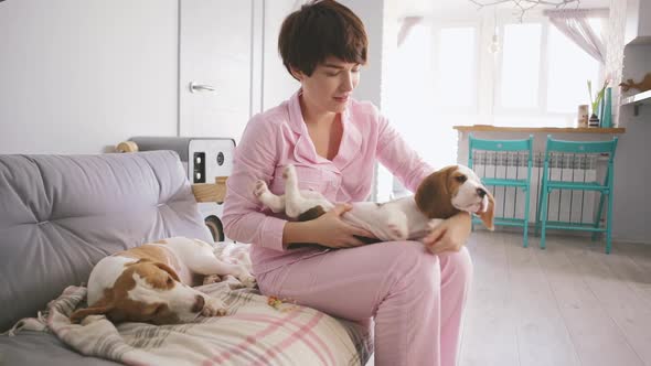 Young Caucasian Female in Pink Pyjamas Playing with Two Beagle Puppies Sitting on Sofa in Bedroom
