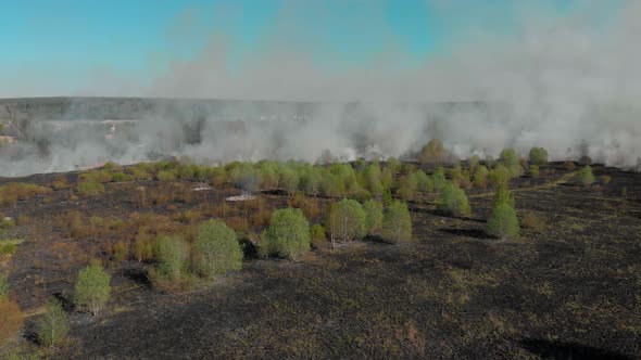 Aerial Tilt Down Drone Shot Overlooking Trees in Flames Forest Fires and Smoke Destroying and
