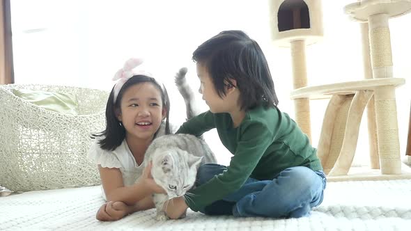 Cute Asian Childrenplaying American Shorthair Cats At Home Slow Motion 