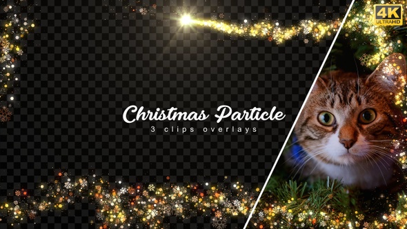 Christmas Particle Frames