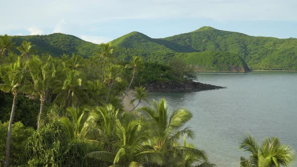 Tropic landscape with exotic coconut trees and lush mountains in the background