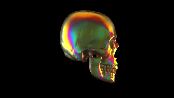 Mother Of Pearl Skull