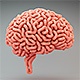 Brains Growth - VideoHive Item for Sale