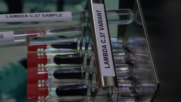 Lambda C37 Variant Test Tube Samples Being Inserted Into Rack. Vertical Video, Locked Off