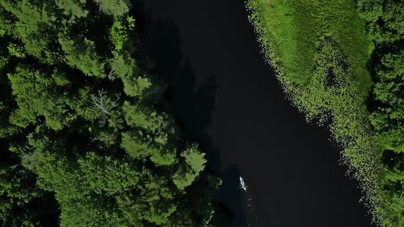 Friends Kayaking on a Wild River Along Dense Green Trees